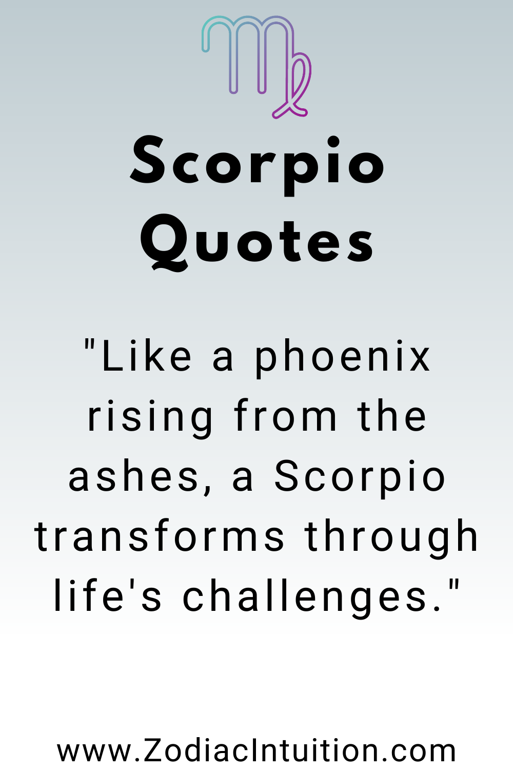 Top 5 Scorpio Quotes And Inspiration