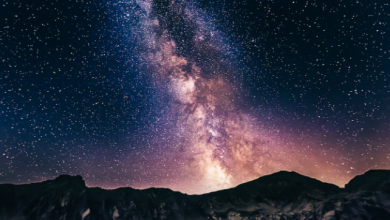 2024 Zodiac Predictions: What the Stars Foretell for Your Sign