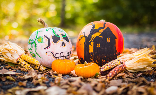 Double the Fun: Gemini's Guide to a Playful Halloween Celebration
