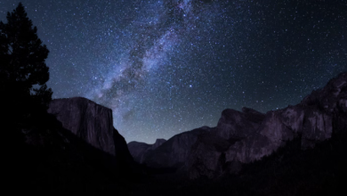 Your Zodiac Sign's Guide to Success in 2024