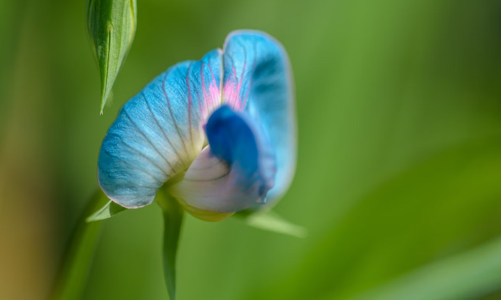 3 Zodiac Signs to Encounter a Delightful Life Surprise Before 2024