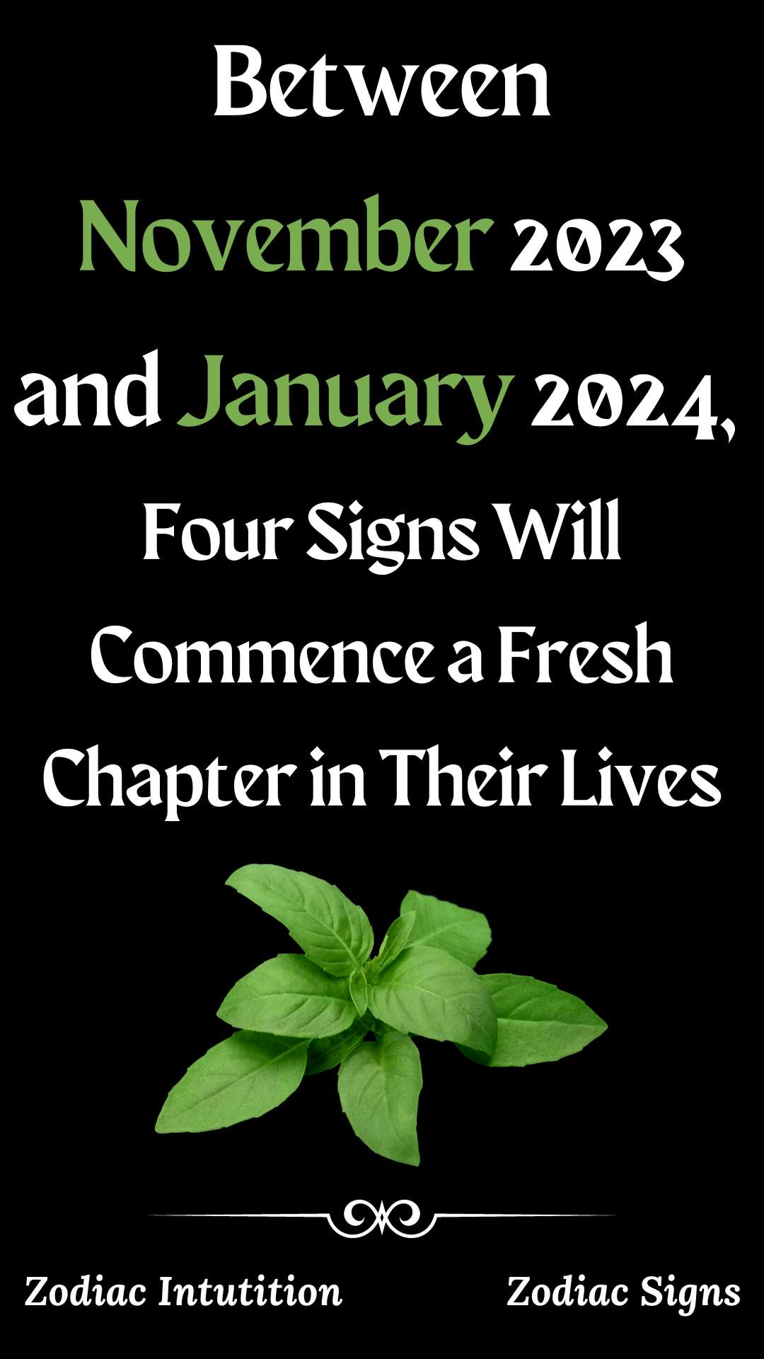 Between November 2023 and January 2024, Four Signs Will Commence a Fresh Chapter in Their Lives