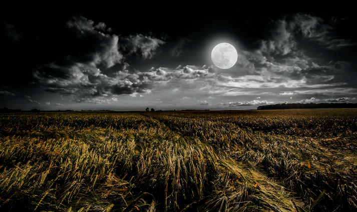 Lucky Breaks for 4 Zodiac Signs in Decemeber's New Moon!