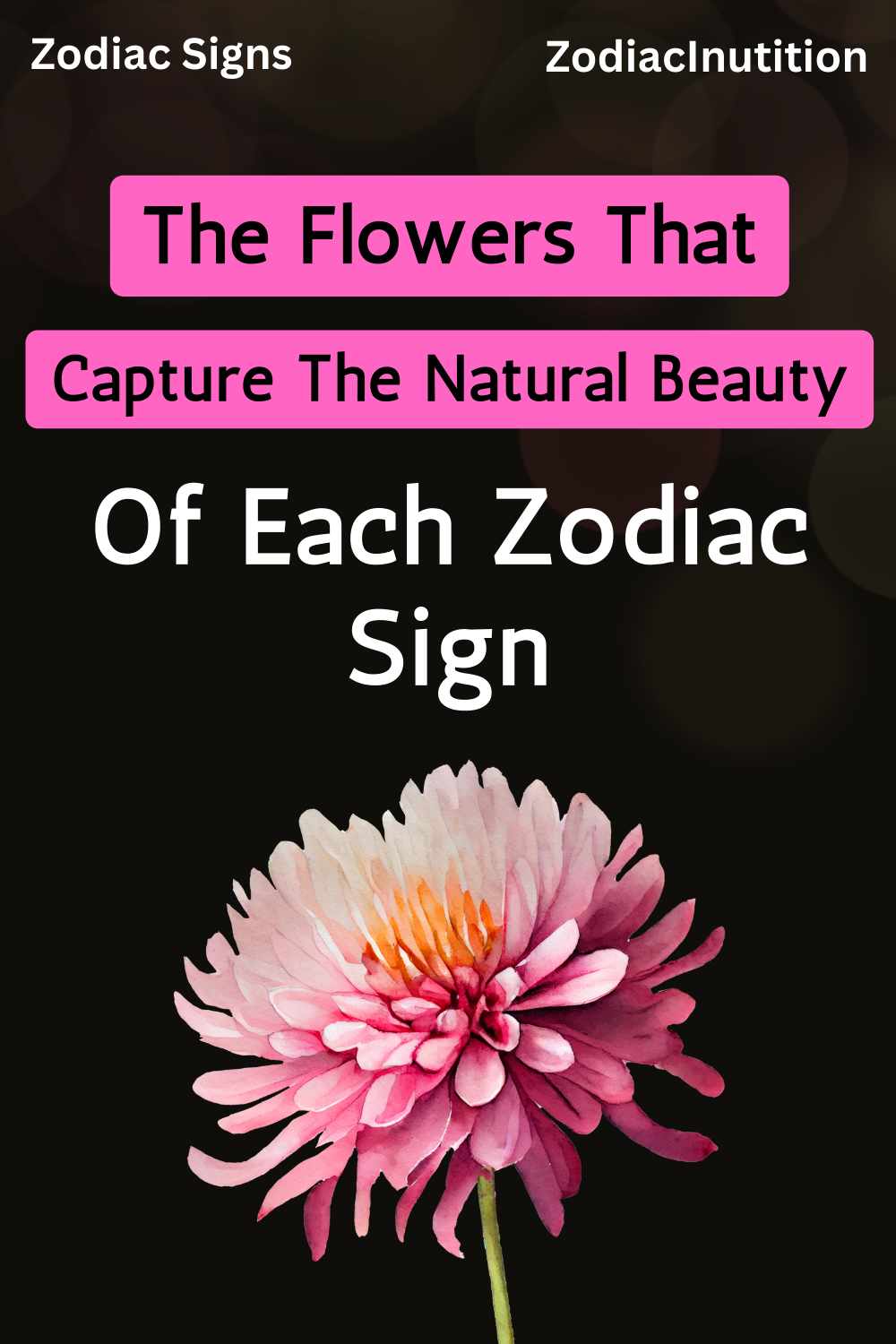 The Flowers That Capture The Natural Beauty Of Each Zodiac Sign