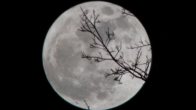 April Full Moon Crystals (Lunar Magic)