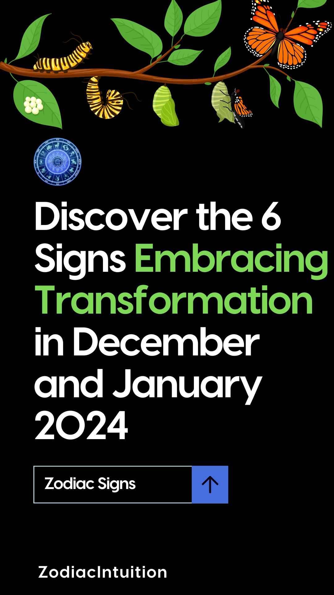 Discover the 6 Signs Embracing Transformation in December and January 2024