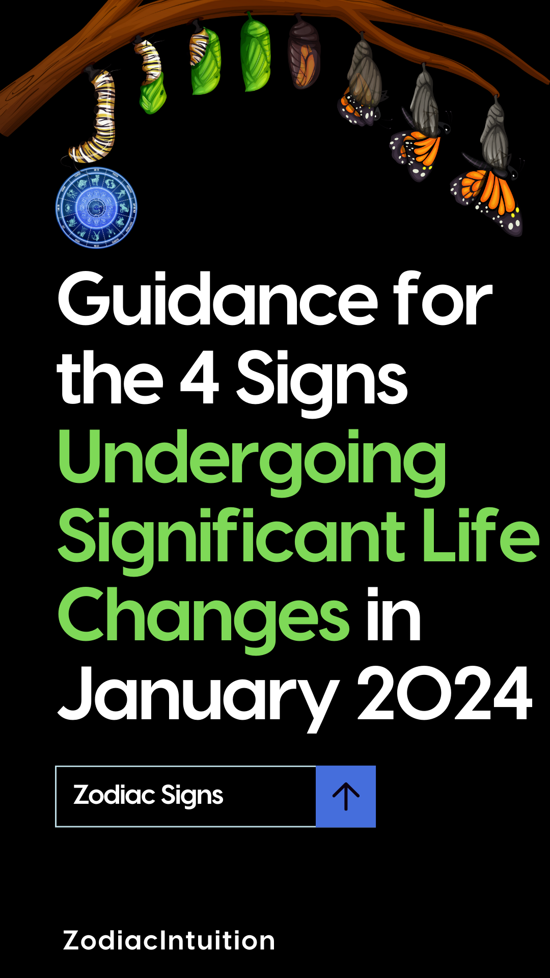 Guidance for the 4 Signs Undergoing Significant Life Changes in January 2024