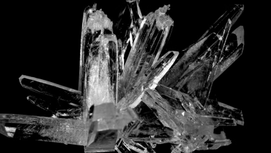 Which Protective Crystal Is Best For Your Zodiac Sign