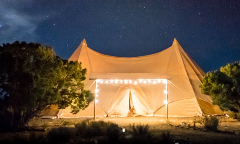 Your Guide to 2024's Starry Events: Monthly Highlights!