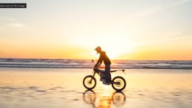 The Four Smartest Zodiac Signs