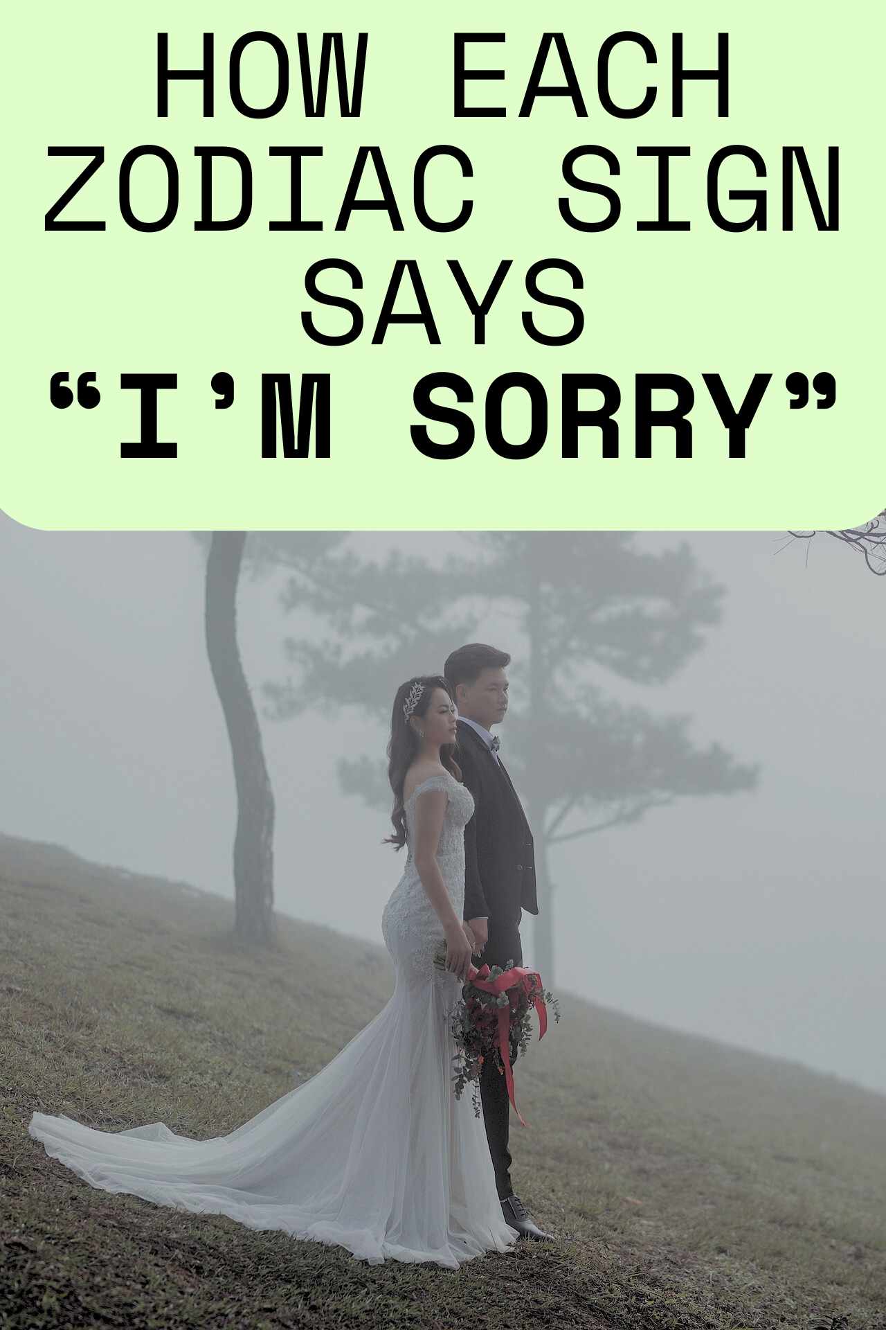 How Each Zodiac Sign Says “I’m Sorry”