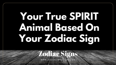Your True SPIRIT Animal Based On Your Zodiac Sign